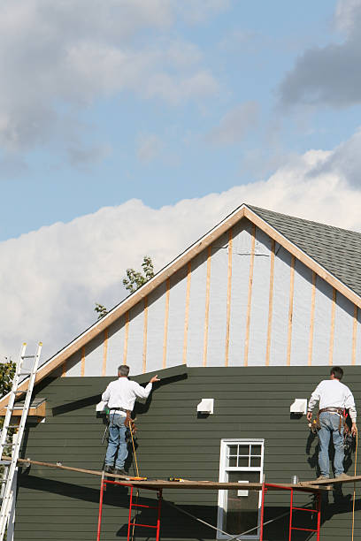 Affordable siding repair and maintenance services in Alexandria, LA